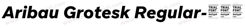Aribau Grotesk Regular字体转换